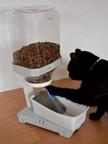 Avocado Katzen-Spielzeug Mit Futterautomat & Wackel-Design – Hält Leckerlis & Katzenminze