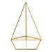HOMEIDEAS Glod Geometric Terrarium Modern Clear Glass Pyramid Tabletop Box Succulent Plants Holder