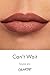 ColourPop - Lippie Stix (Can't Wait)