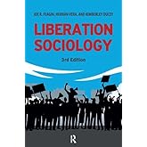 Liberation Sociology