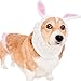 Zoo Snoods Bunny Costume - Knit Easter Dog Snood Ear Wrap for Pets, Warm Neck Cover for Halloween and Winter (Medium)