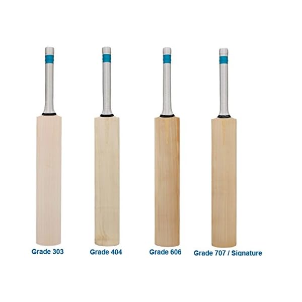 Gunn & Moore NOIR 606 English Willow Cricket bat , 2019 Edition (Includes Extra GM bat Grip