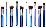 Moonkini Classic 10 Pcs Professional Cosmetic Makeup Brush Set for Face/eye/lip(blue+silver)