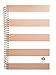 Bloom Daily Planners 2017 Daily Planner, 8.25 x 4-Inches, Rose Gold Stripes,
