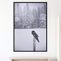 Framed Canvas Wall Art Single Bird Birds Expressive Farmhouse/Country Multicolor Photography Portrait Single - 16x24 inches