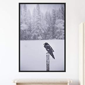 signwin Framed Canvas Wall Art Single Bird Birds...