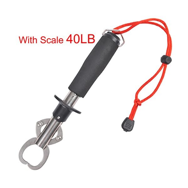 Fiblink-Portable-Fish-Lip-Grabber-Grip-Tool-Fish-Holder-Stainless-Steel-Fishing-Gear-with-Scale-40-Pound