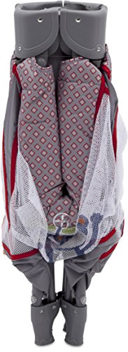 6 Delta+Children+Play+Yard+Jungle