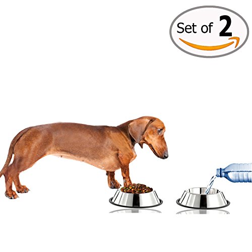 GPET-Dog-Bowl-with-Rubber-Base-Stainless-Steel-16-Ounce-Set-of-2