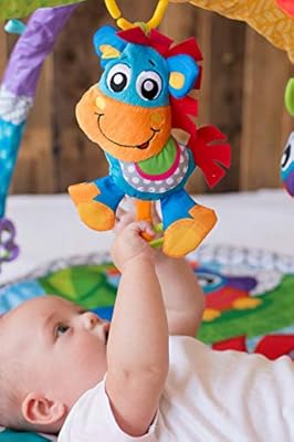 playgro clip clop activity gym with music