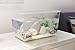 CODIA Hatching Growing Eggs Dinosaur 4 Different Kinds of Jumbo Dino (Random)