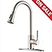 KINGO HOME Modern Commercial High Arc Stainless Steel Single Lever Handle Pull Down Sprayer Brushed Nickel Kitchen Faucet, Kitchen Sink Faucet with Deck Plate
