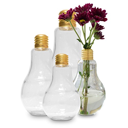 Light Bulb Shaped Glass Container Set Airtight Lids 4 piece Storage Home Décor Containers and Organizer Multi-Functional Canisters Solution or Water Planting & Flower Vase by Stor'nStyle by Ragalta