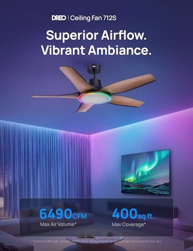 DREO Smart Ceiling Fans with Lights, Low Profile Ceiling Fan with Alexa/App, 52'' Dimmable Lighting & Color Tuning, RGB Ambient Light for Living Room, Game Room, Easy Installation, Quiet, Black
