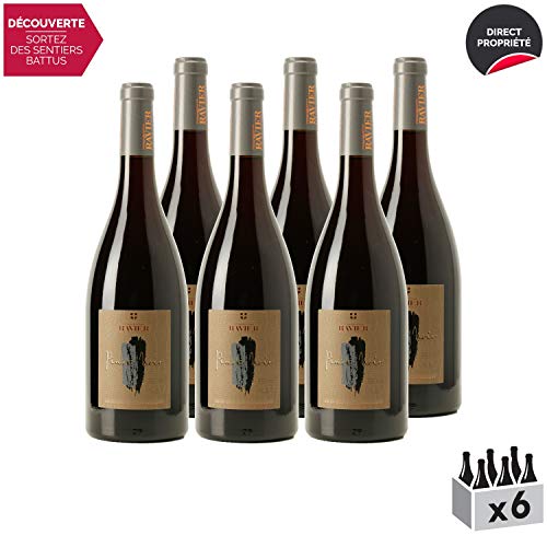 Vin de Savoie Pinot Noir La Bigarel Rouge 2017 - Philippe et Sylvain Ravier - Vin AOC Rouge de Savoie - Bugey - Cépage…