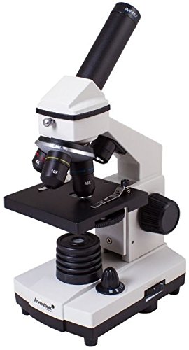 2 AA Rainbow 2L Plus Moonstone Microscope