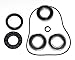 Aftermarket Rear Axle Bearings and Seals Kit Compatible with Honda TRX250 Recon 1997-2009 JSP Brand