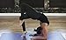Clever Yoga Premium LiquidBalance Mat Eco and Body Friendly Sweat Grip Non-Slip With Carrying Yoga Bag (Mandala-Pink)