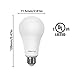 A21 LED Light Bulb 20W (150 Watt Equivalent), 2300 Lumens 4000K Cool White (Clean Neutral White), E26 Medium Screw Base, Not-Dimmable, UL Listed, XMprimo - 3 Pack
