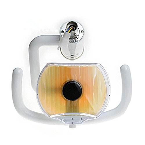 Science Lab Education Support Dental Halogen Lamps, Daylight Oral Lamps, Dental Equipment, Dental Chair Accessories, Dental Chair Oral Examination Lights 22mm