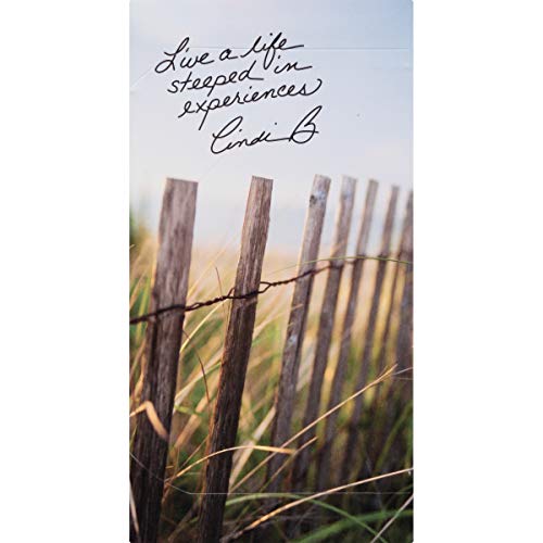 steep by Bigelow Organic Rooibos Hibiscus Herbal Tea, Caffeine Free, 20