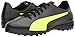 PUMA Unisex-Adult Spirit Turf Trainer Soccer Shoe