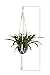 Newcomdigi Macrame Plant Hanger Indoor Outdoor Hanging Planter Basket Cotton Rope 4 Legs 40 Inch