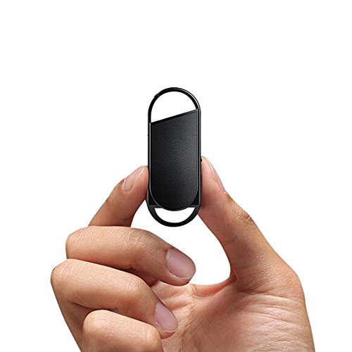 16GB Mini Voice Recorder, BestRec Audio Activated Keychain Recordings for Lectures, Meetings, 20 Hou - //coolthings.us