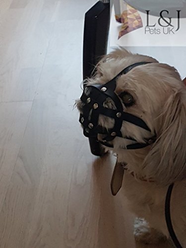 best muzzle for shih tzu