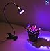 Z-LINE Group LED Grow Lights for Indoor Plants - 5W Grow Light Clip Lamp with 360 Degree Flexible Gooseneck