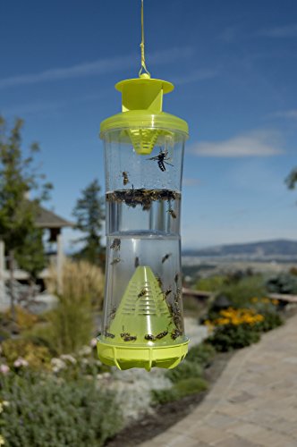 RESCUE! Non-Toxic Reusable Trap for Wasps, Hornets and Yellowjackets