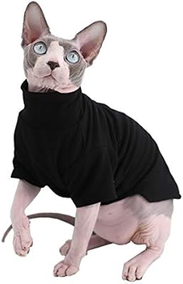 dog friendly cabin rentals near me