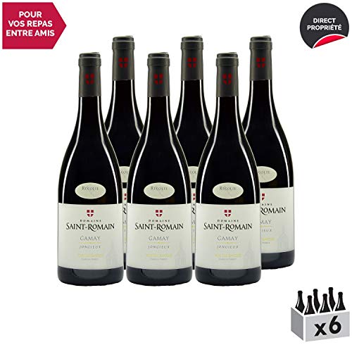 Vin de Savoie Gamay cru Jongieux Rouge 2017 - Domaine Saint-Romain - Vin AOC Rouge de Savoie - Bugey - Cépage Gamay…