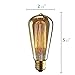 NEW Edison Vintage Bulbs - 6 pack - Senbao Bulbs - 60W Incandescent - Clear Glass - ST64 Squirrel Cage - Dimmable