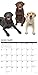 Just Labs 2020 Wall Calendar (Dog Breed Calendar)