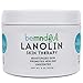 Lanolin Skin Therapy, Heavy Duty Face and Body Moisturizer for Extremely Dry Skin, Heals Chapped and Cracked Skin, Safe for Breastfeeding (8 oz)
