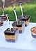Exquisite Clear Plastic Mini Square Mousse Dessert Cups 40 Ct - 3.6 oz