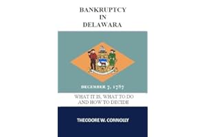 Bankruptcy in Delaware: What it is, What to Do, and How to Decide (What is Bankruptcy Book 8)