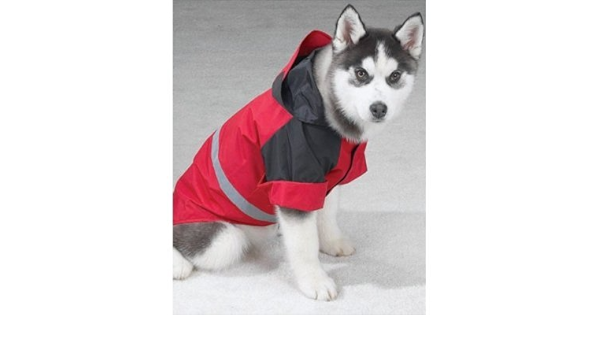 dog storm jacket