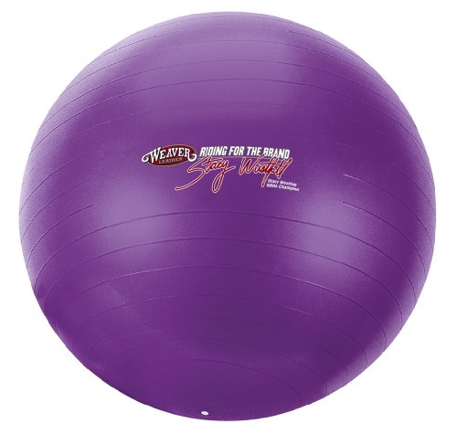 Weaver Leather Stacy Westfall Activity Ball, Small, Purple