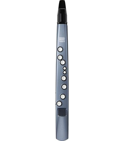 Amazon.com: Roland Aerophone Digital Wind Instrument