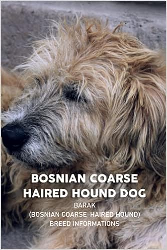 coarse haired terrier