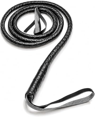 Amazon.com: Skeleteen Faux Leather Brown Whip - 6.5' Woven Costume