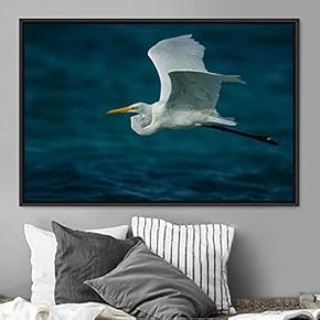 signwin Framed Canvas Wall Art Soaring Bird Aerial...