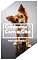 Livro Cuidados com Cão : Para iniciantes .