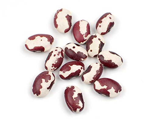 Anasazi Beans 1 lb burlap bag