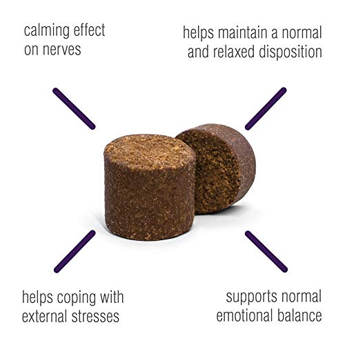 VetIQ Calming Support Supplement for Dogs, Anxiety Supplement Soft Chews, 90 Count Pricepulse