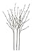 Hi-Line Gift LtdFloral Lights Lighted Willow Branch (set of 3 Branches) with 96 bulbs, 40 inches