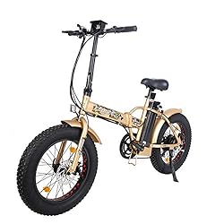 ECOTRIC Electric Foldable Bike 48V/13AH Li-ion