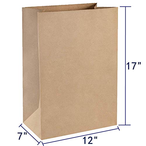 12x7x17 paper bolsa